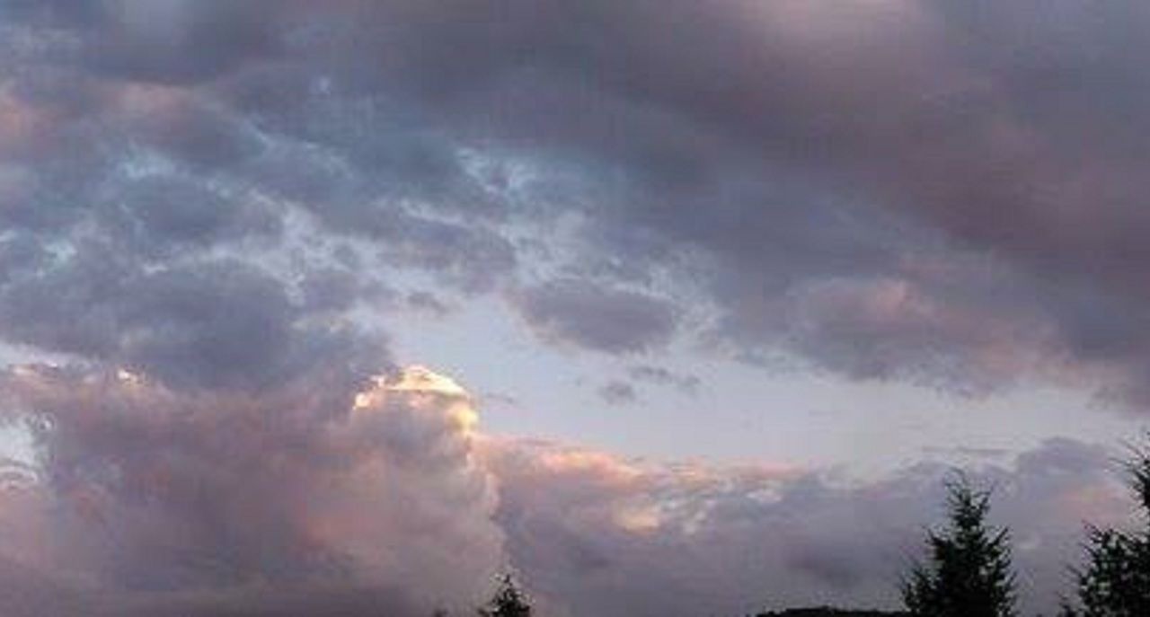 Photo of Others in Pine Grove