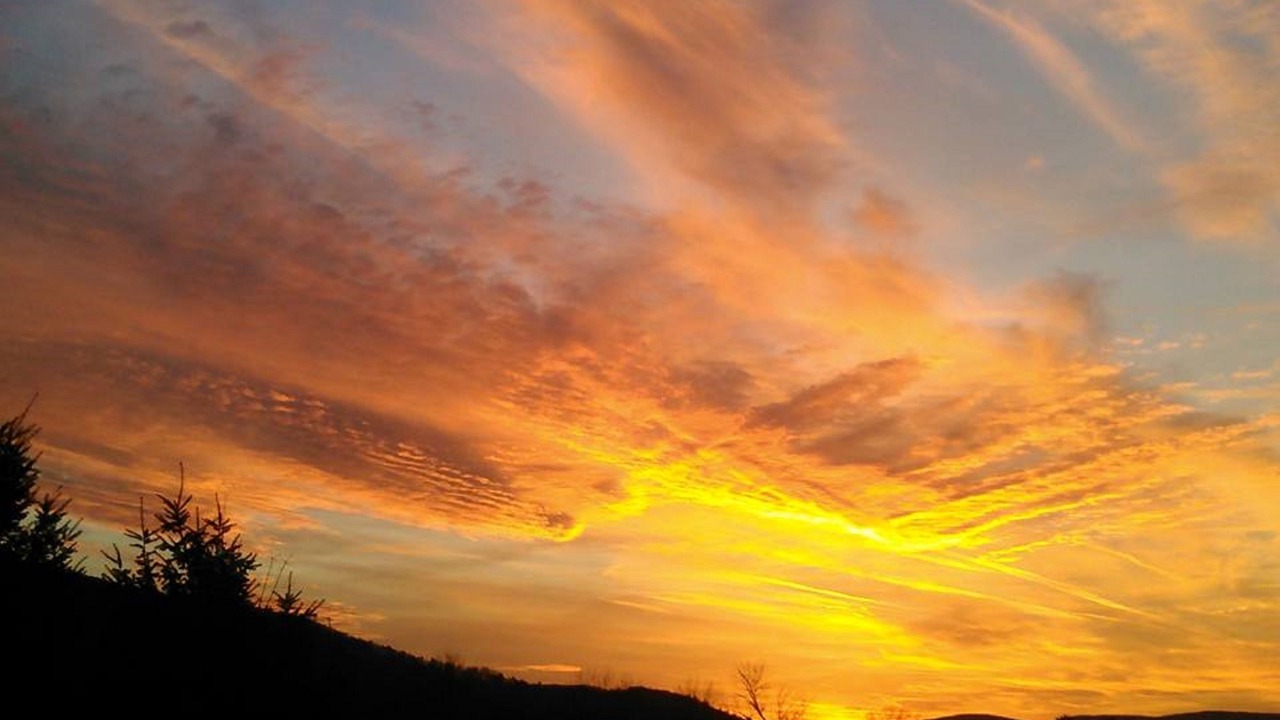 Photo of Others in Pine Grove