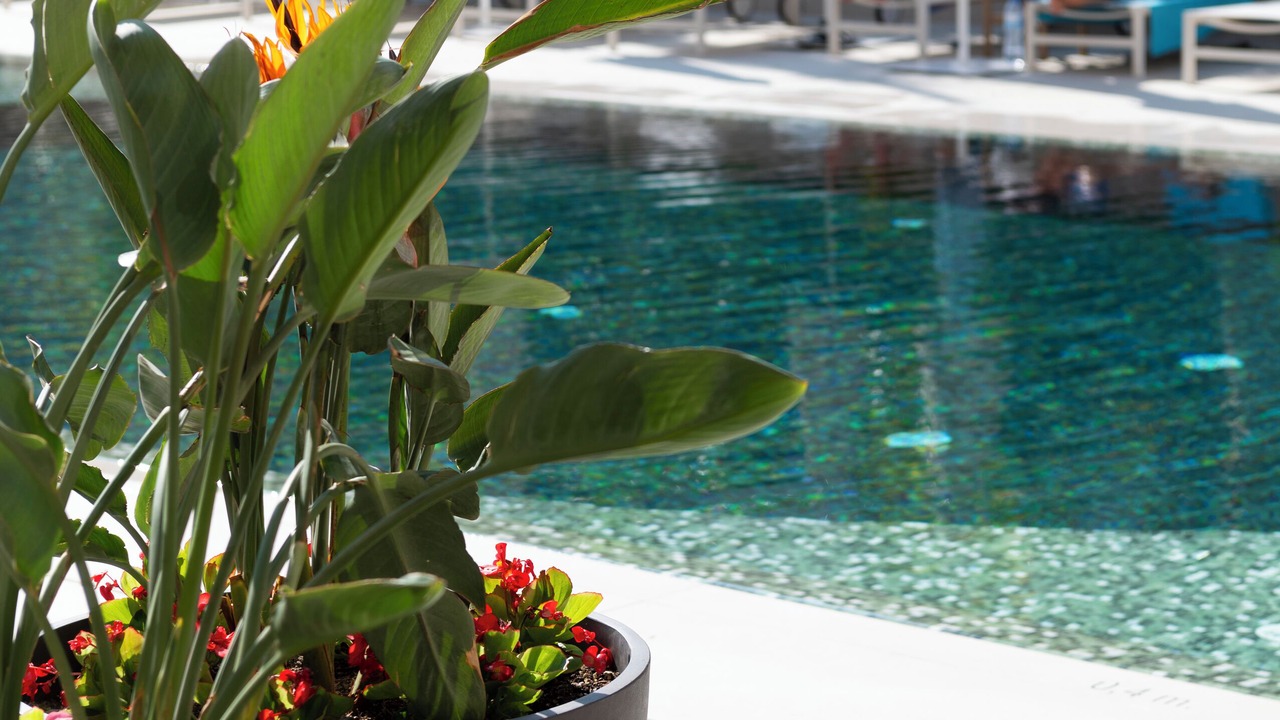Photo of Outdoor in Pineda de Mar