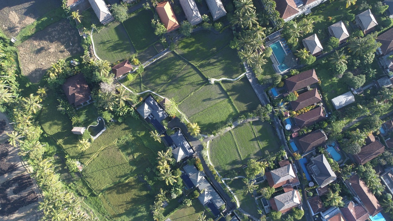Photo of Bedroom in Pengosekan