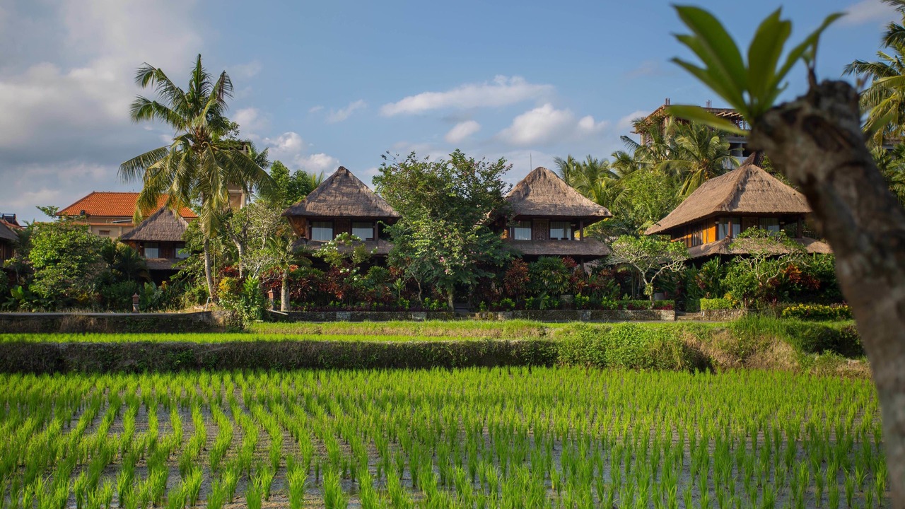 Photo of Others in Pengosekan