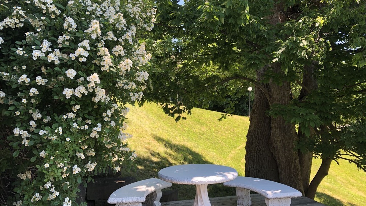 Photo of Outdoor in Pictou