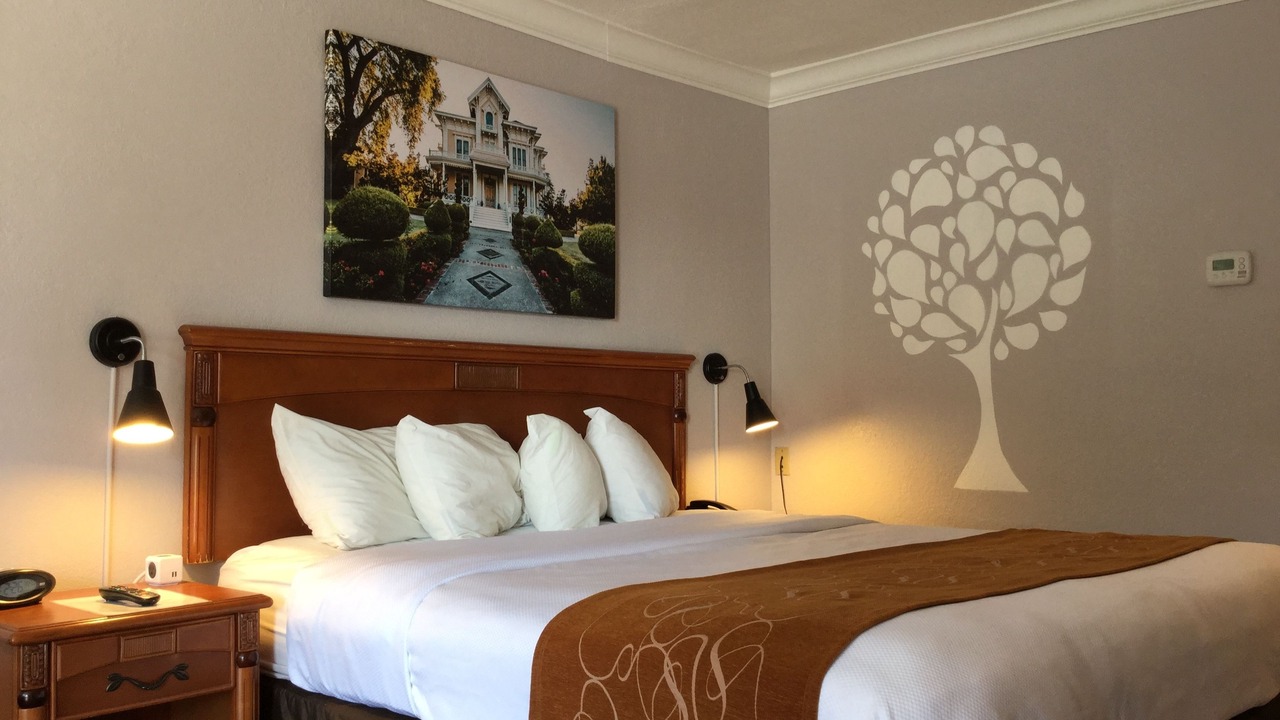 Photo of Others in Woodland