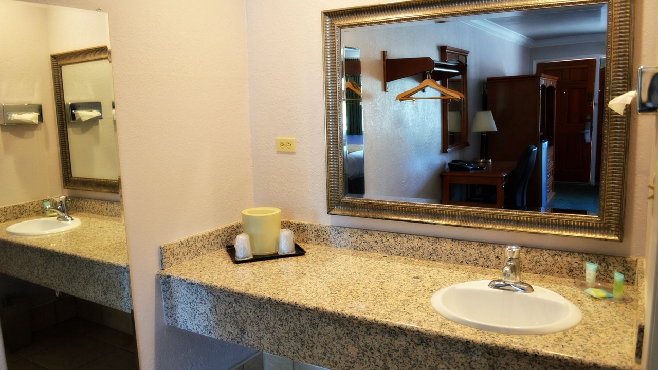 Photo of Others in Woodland