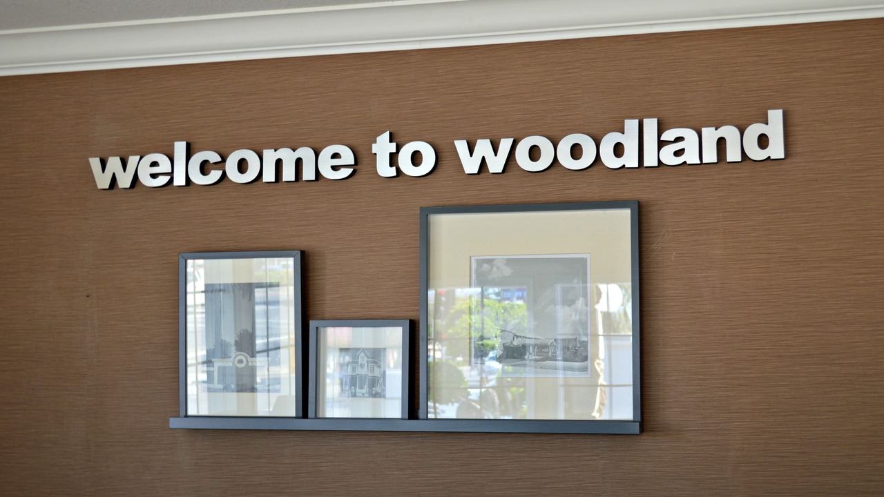 Photo of Others in Woodland