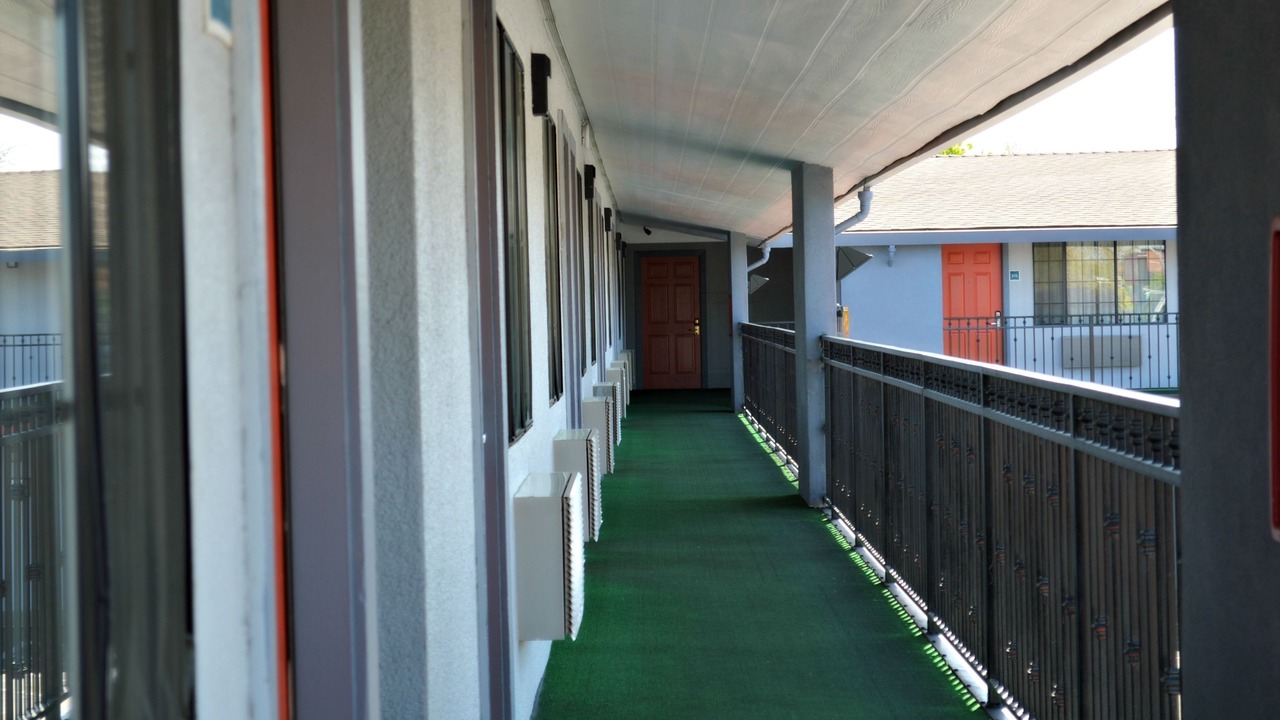 Photo of Outdoor in Woodland