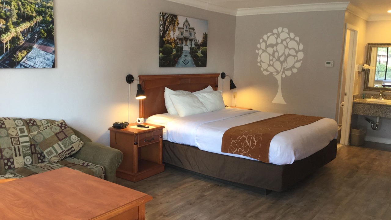 Photo of Others in Woodland