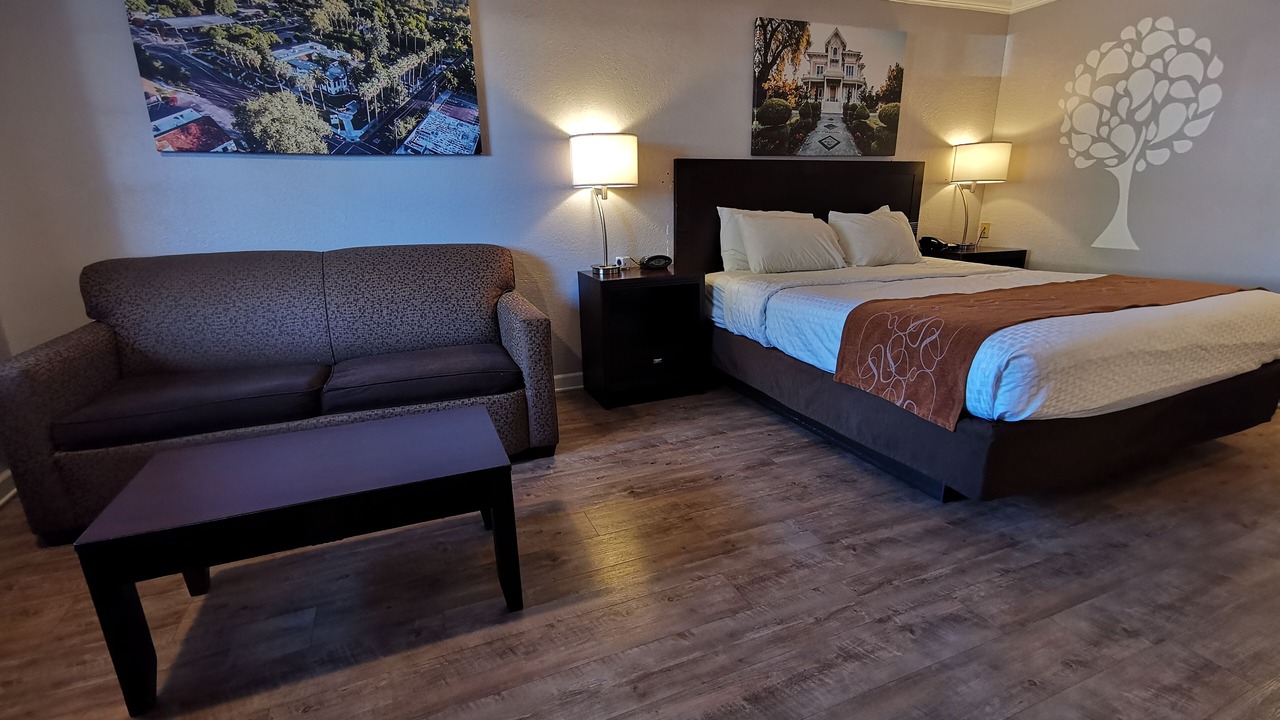 Photo of Others in Woodland