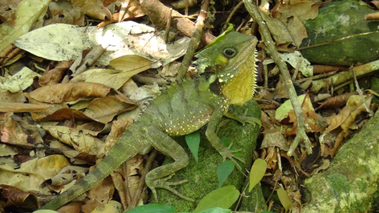 Photo of Outdoor in Diwan