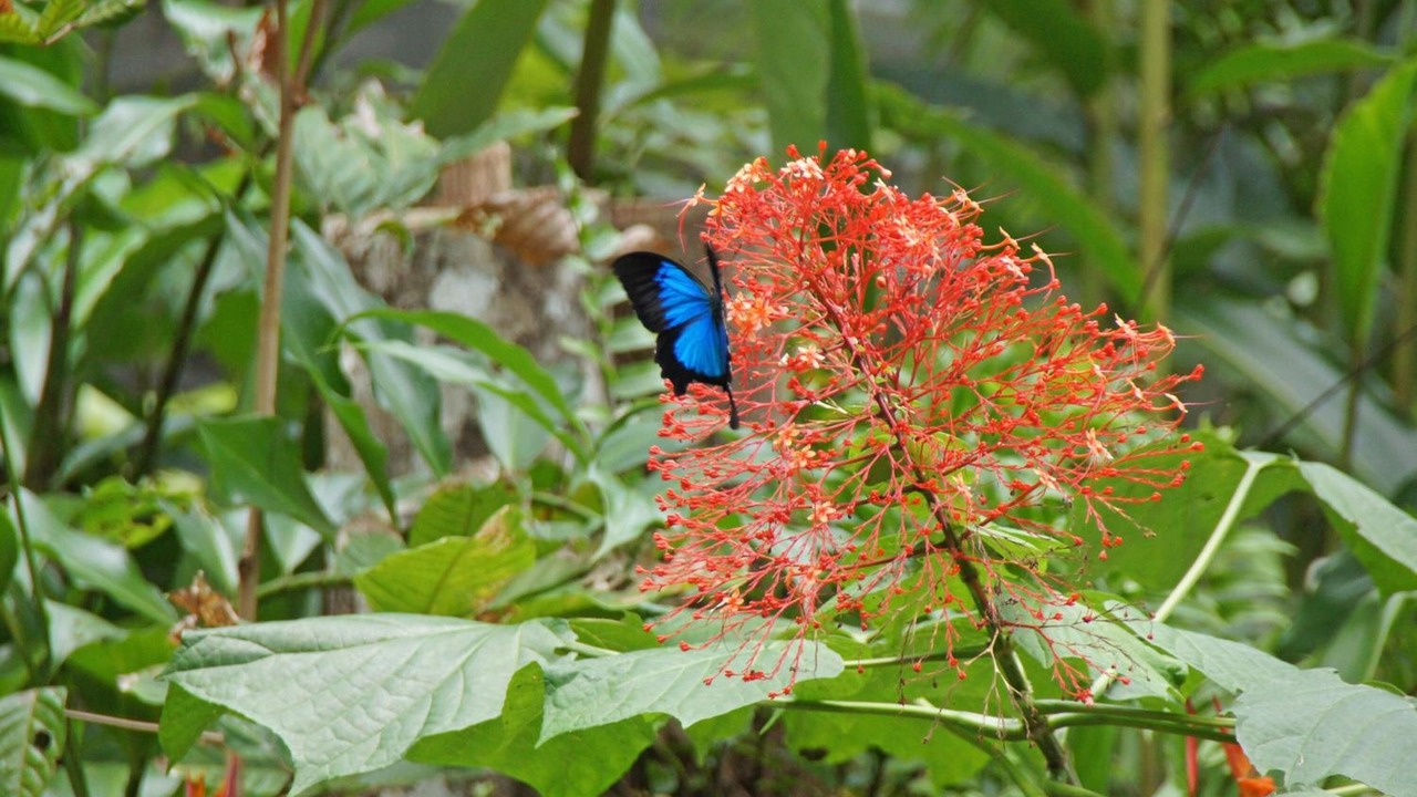 Photo of Outdoor in Diwan