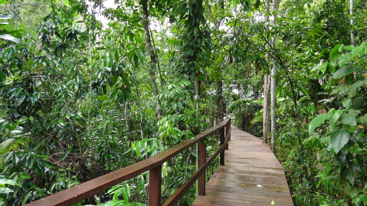 Photo of Others in Diwan