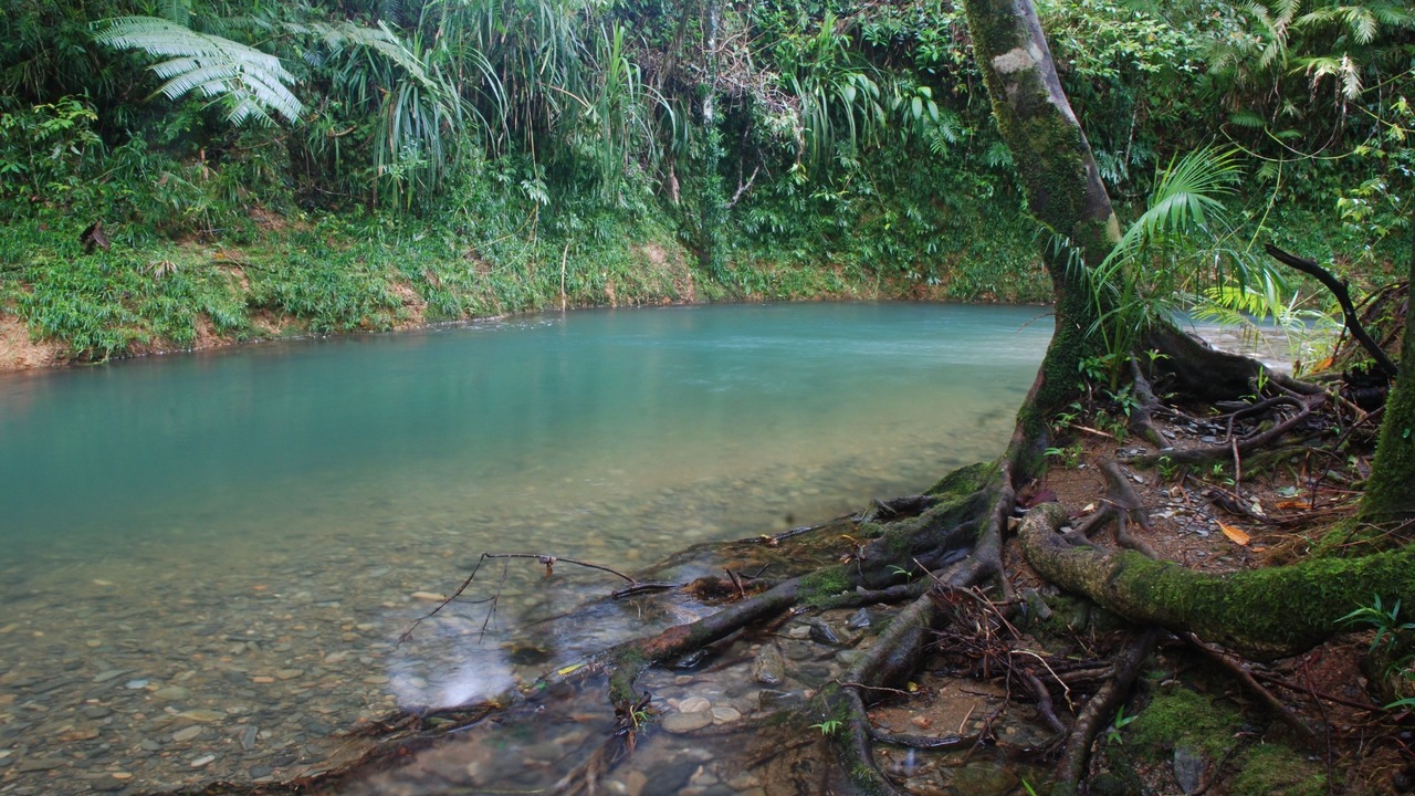 Photo of Others in Diwan