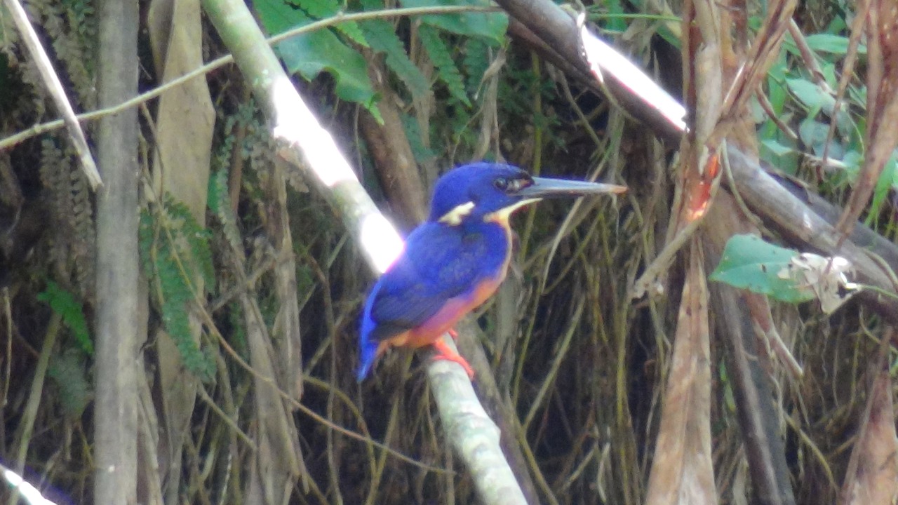 Photo of Outdoor in Diwan