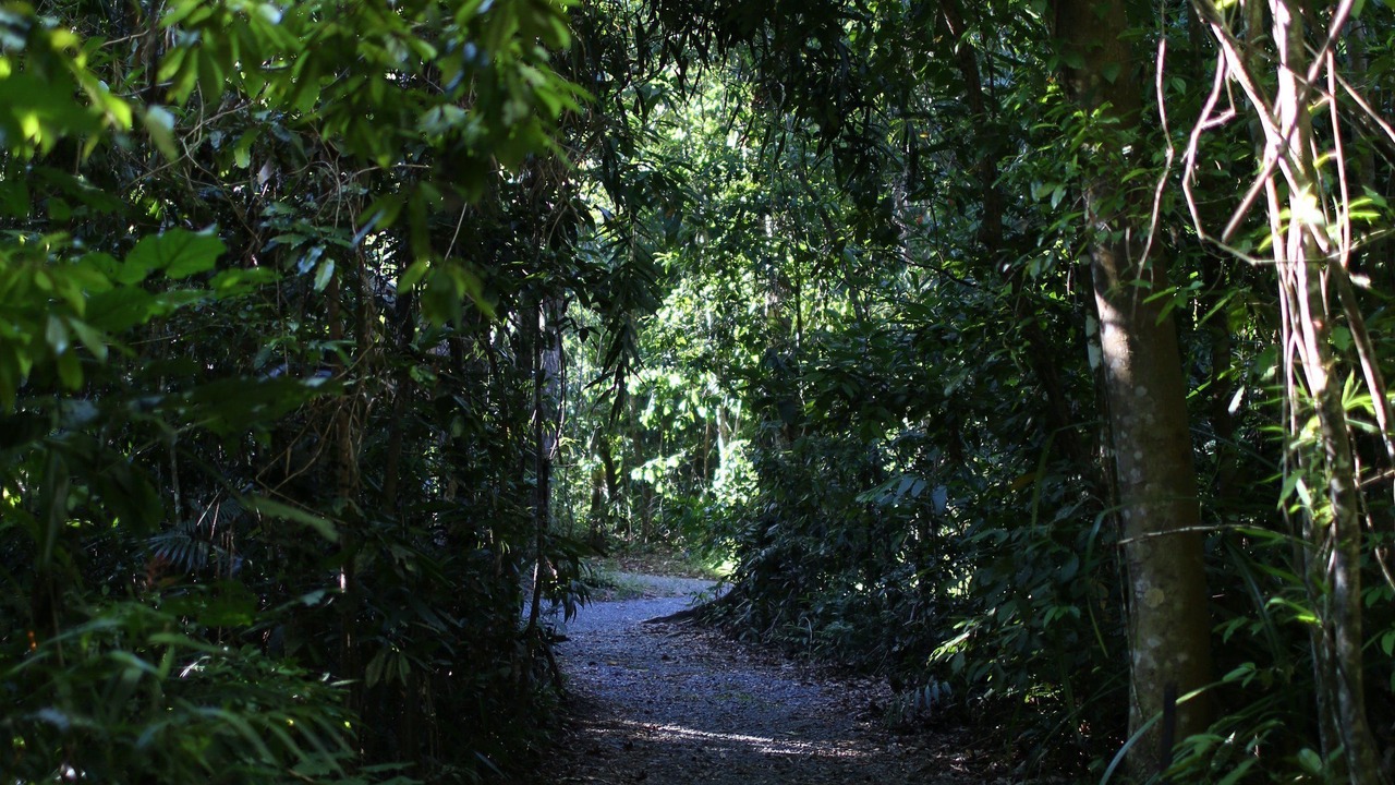 Photo of Outdoor in Diwan