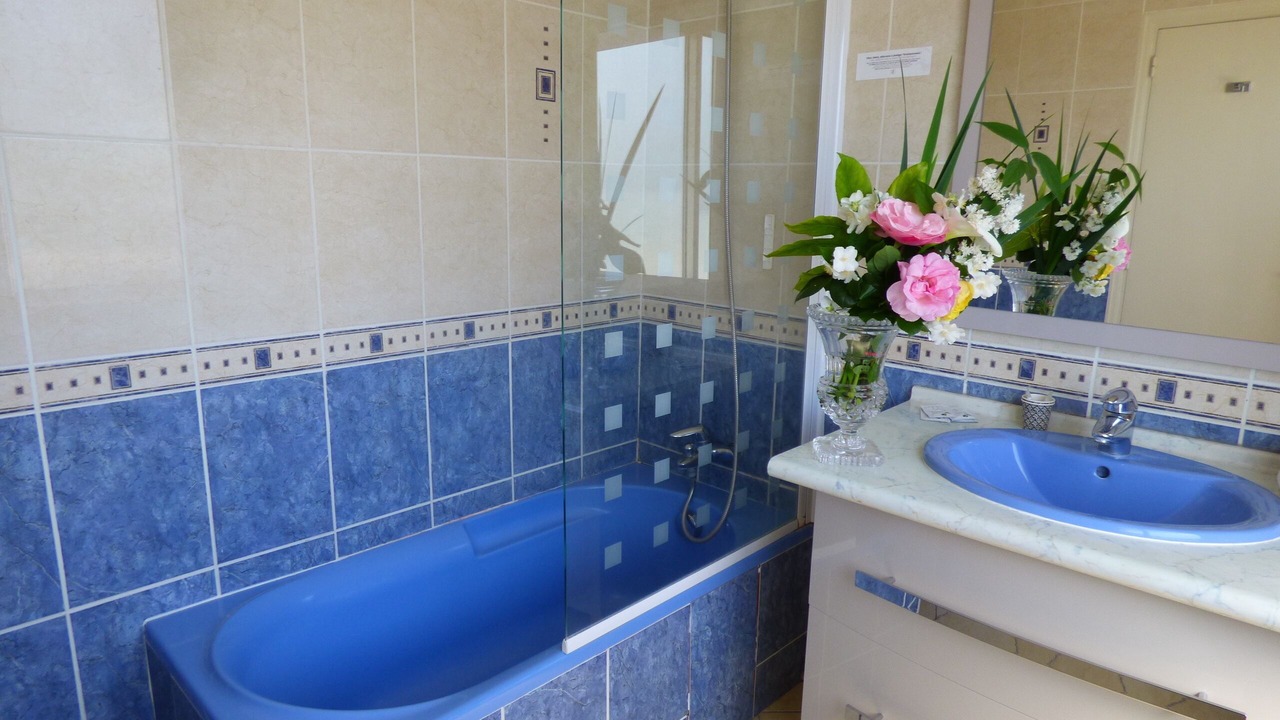 Photo of Bathroom in Montrichard
