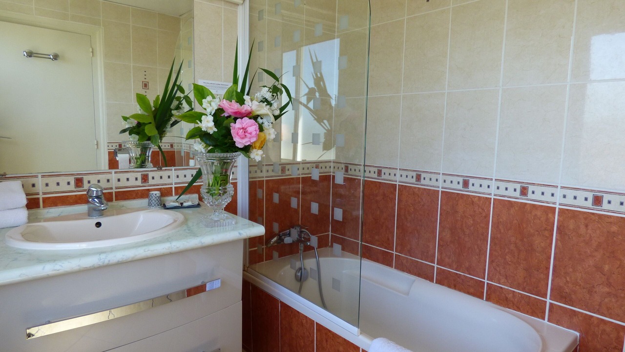 Photo of Bathroom in Montrichard