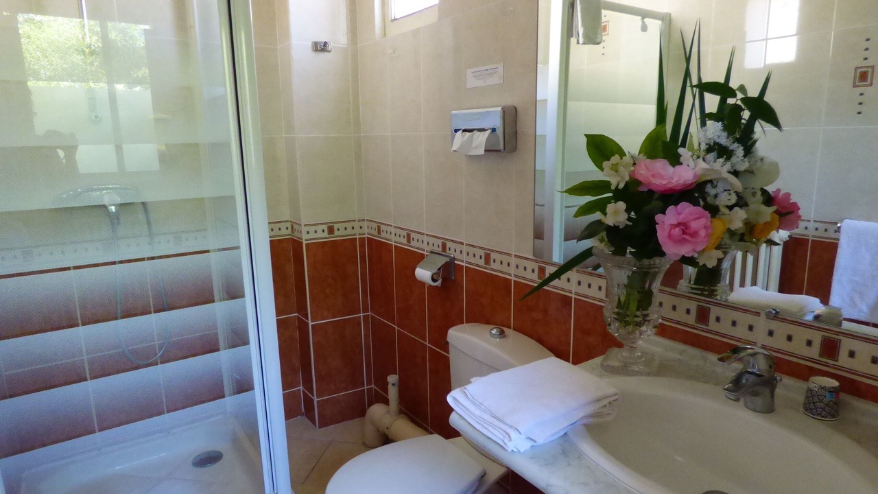 Photo of Bathroom in Montrichard