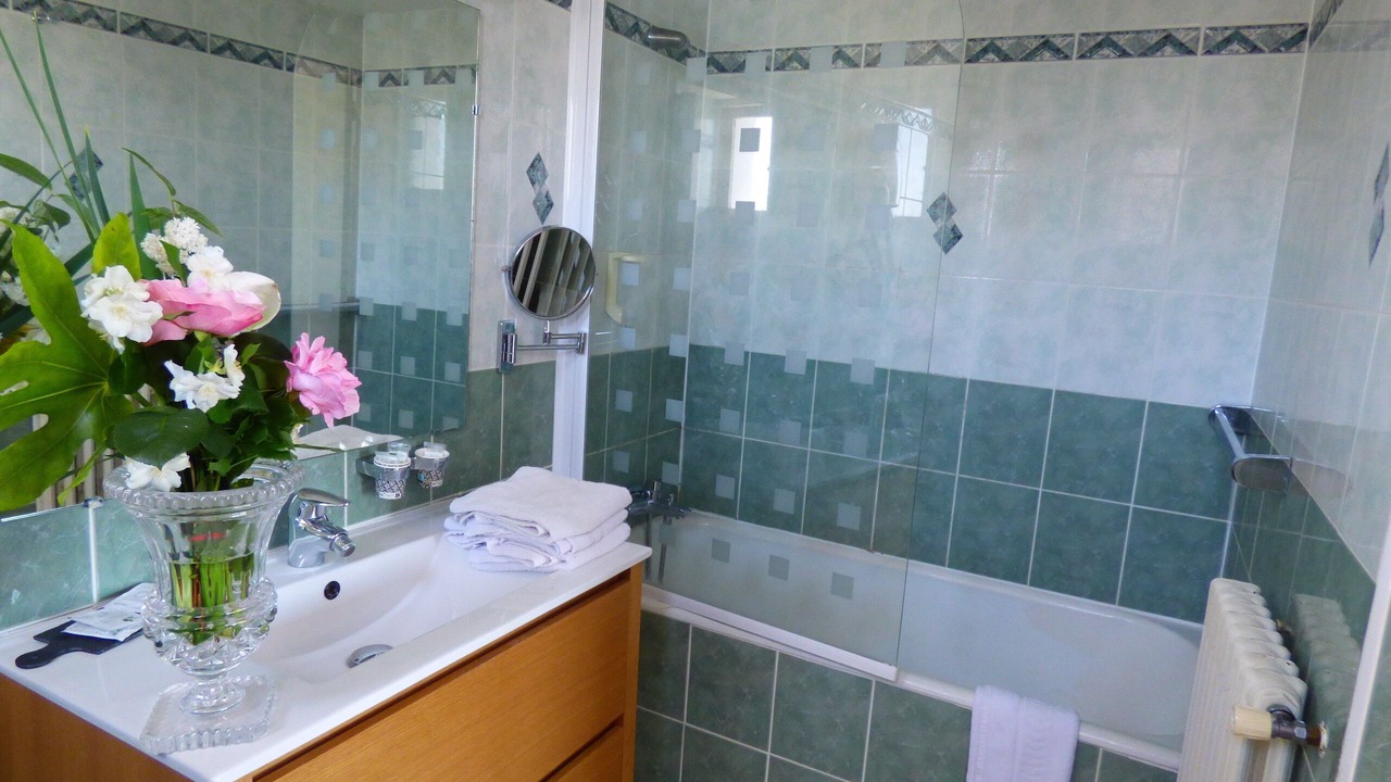 Photo of Bathroom in Montrichard