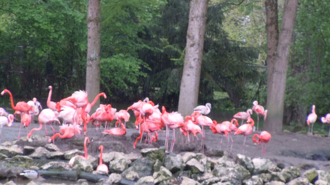 Photo of Others in Montrichard
