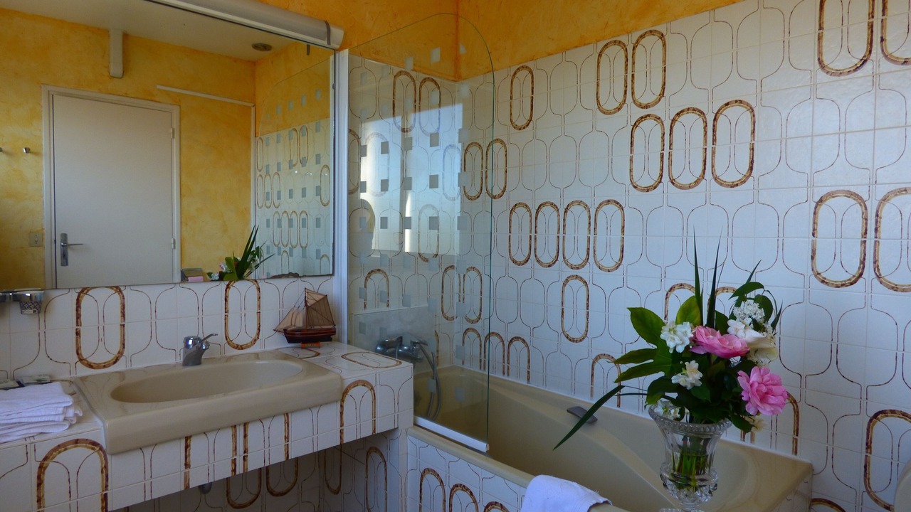 Photo of Bathroom in Montrichard