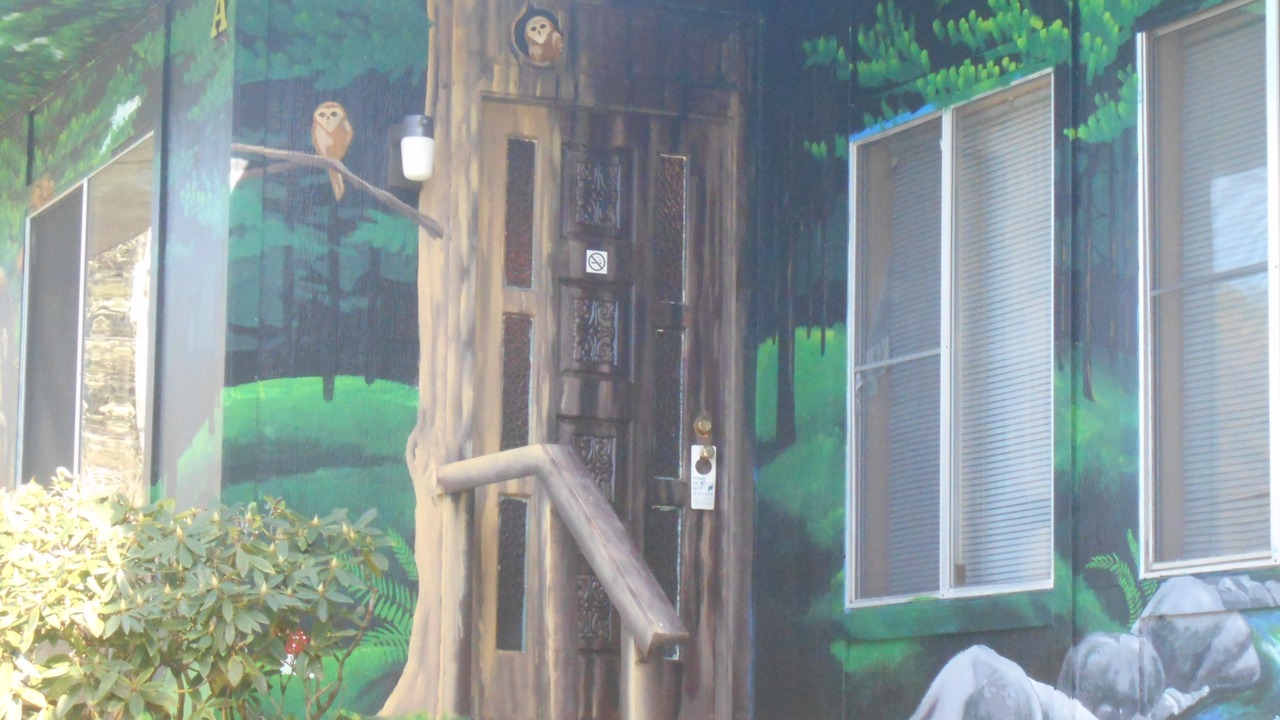 Photo of Outdoor in Coos Bay