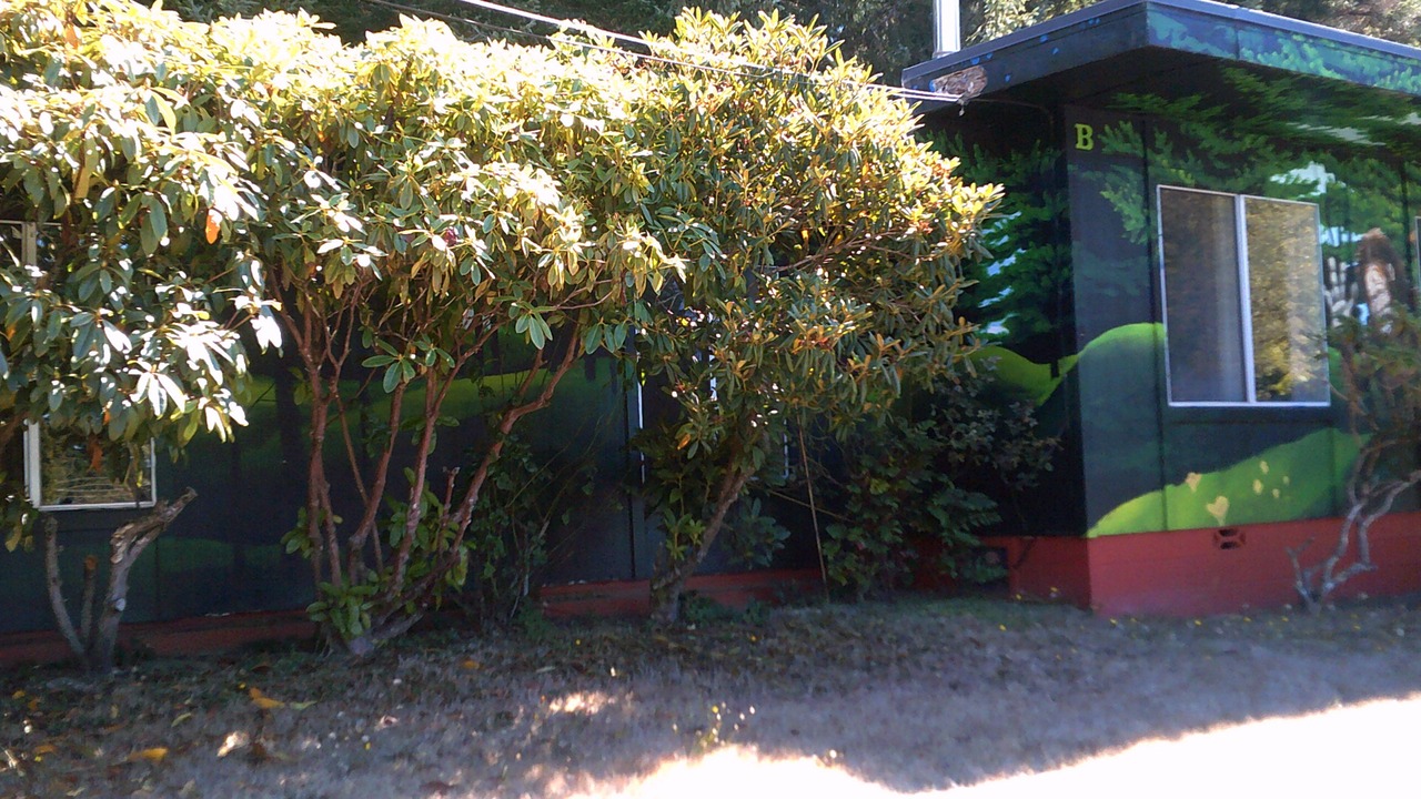 Photo of Others in Coos Bay