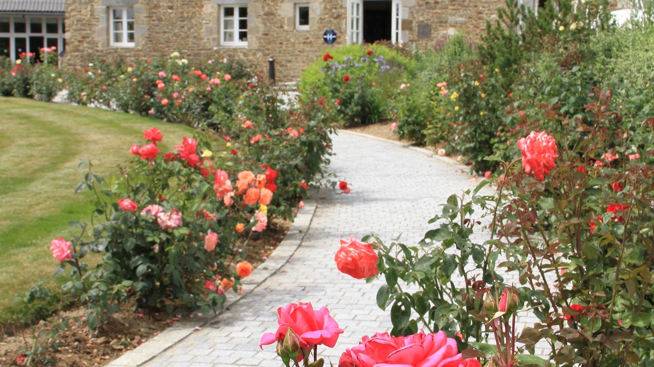 Photo of Outdoor in Saint-Jouan-des-Guerets