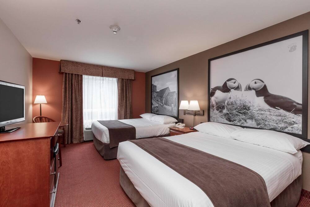 Photo of Bedroom in St. John's