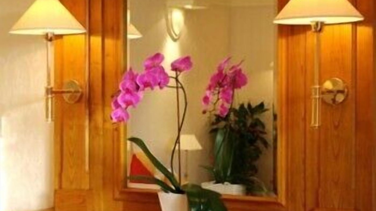 Photo of Others in Moelan-sur-Mer