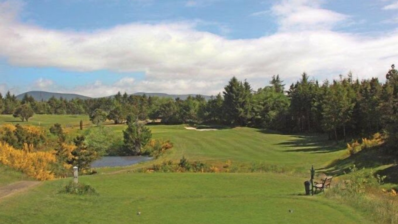 Photo of Others in Bayshore