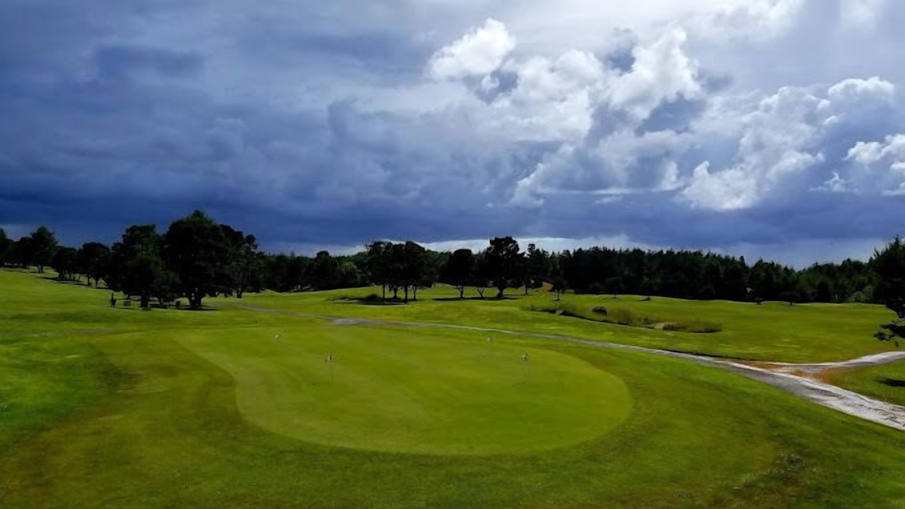 Photo of Others in Bayshore