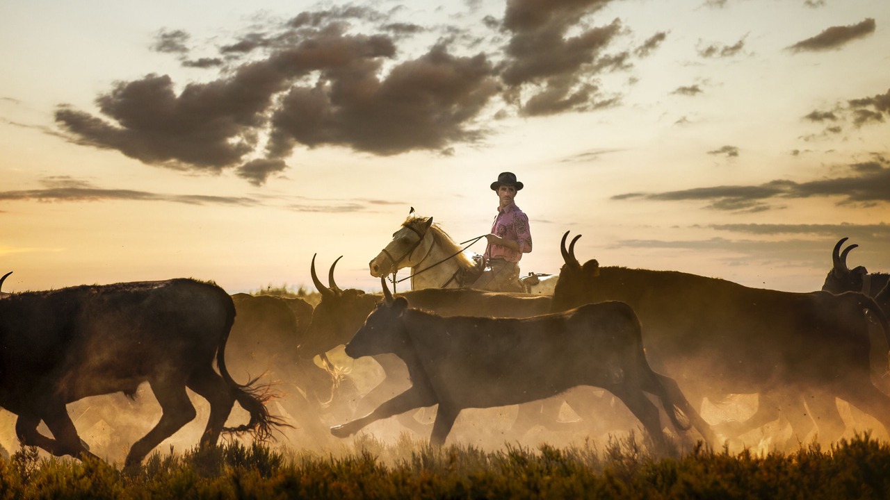 Photo of Others in Le Sambuc