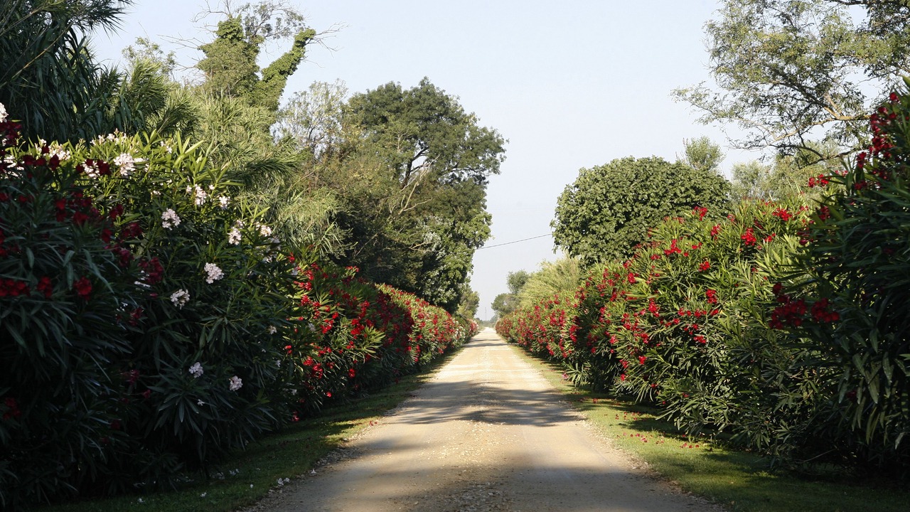 Photo of Outdoor in Le Sambuc