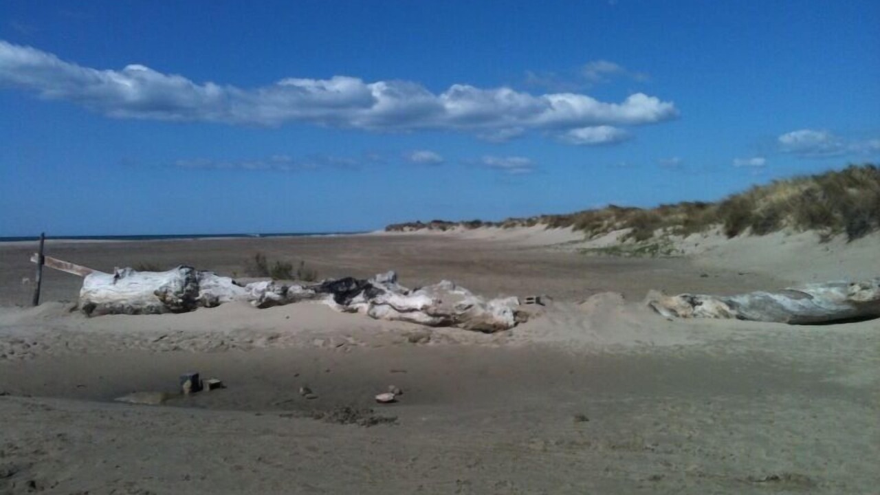 Photo of Others in Le Sambuc