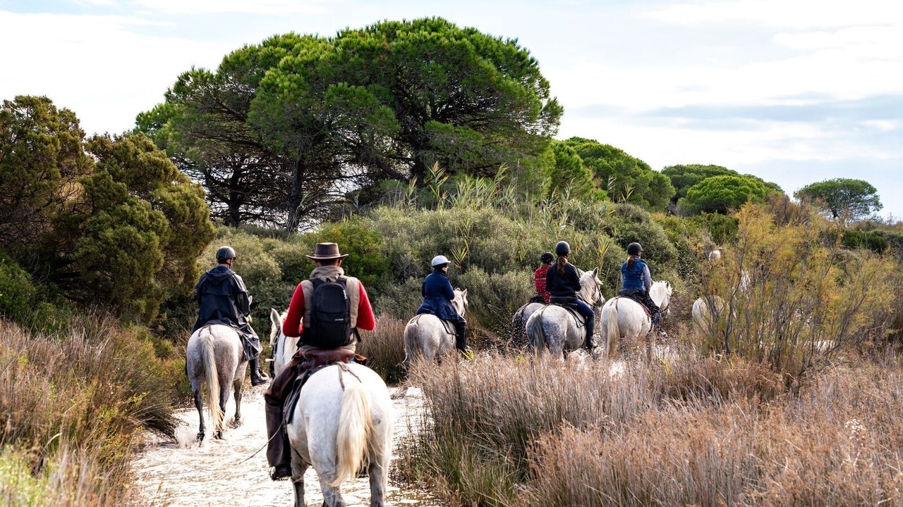 Photo of Others in Le Sambuc
