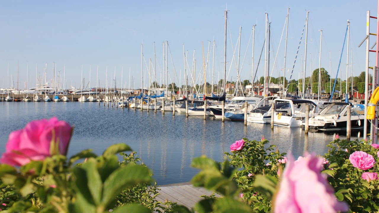 Photo of Others in Charlottenlund