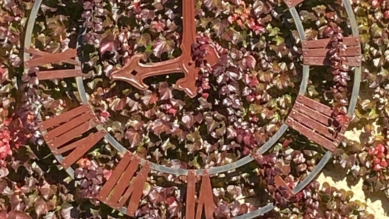 Photo of Bedroom in Saint-Laurent-des-Arbres