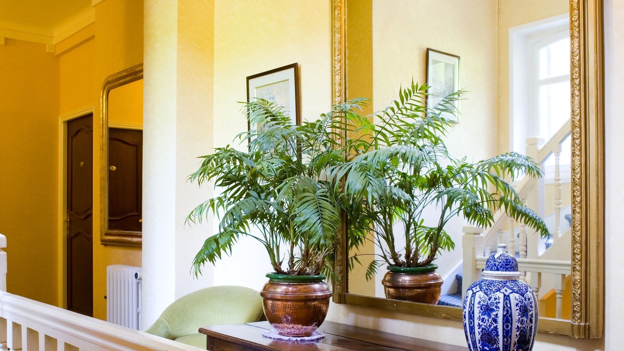 Photo of Others in Bagnoles-de-l'Orne