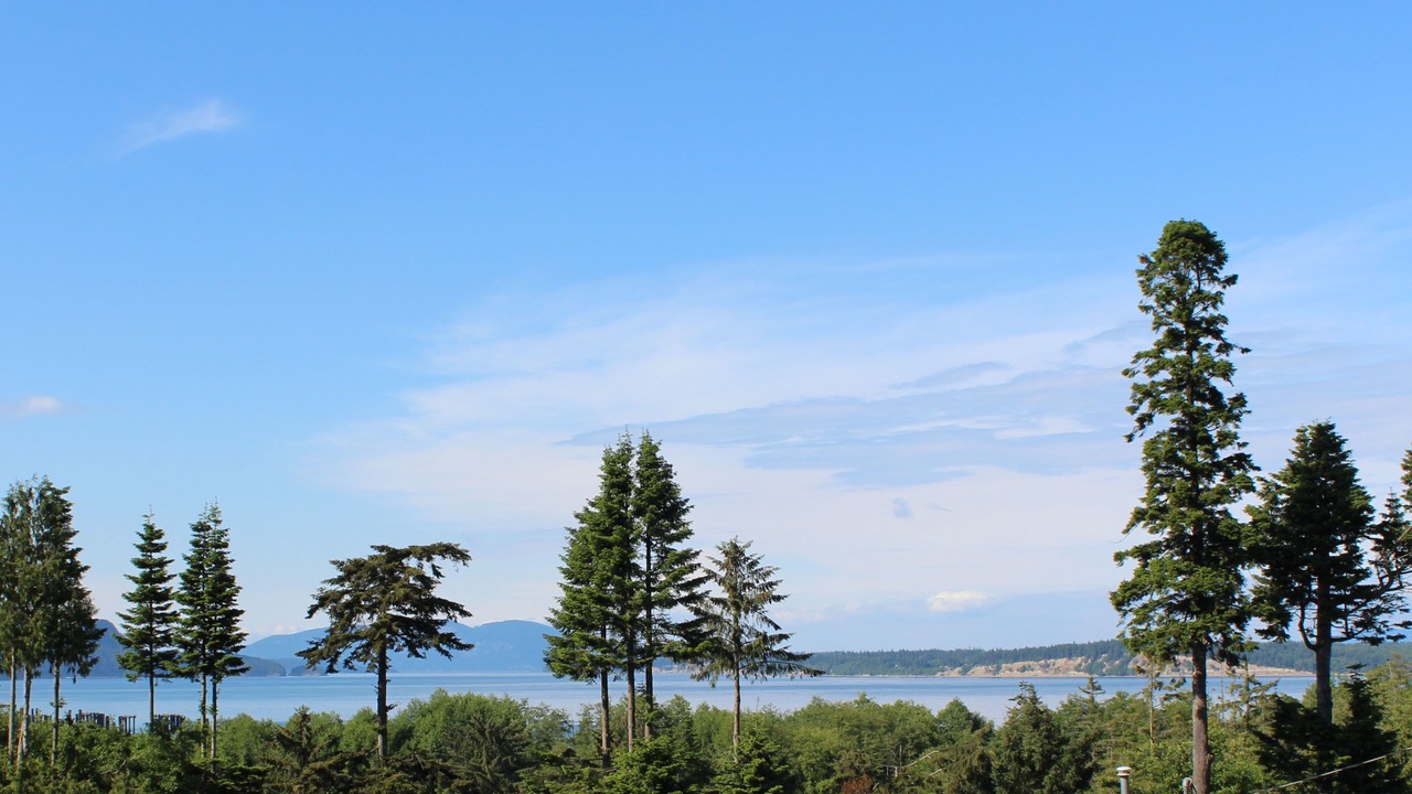 Photo of Bedroom in Anacortes