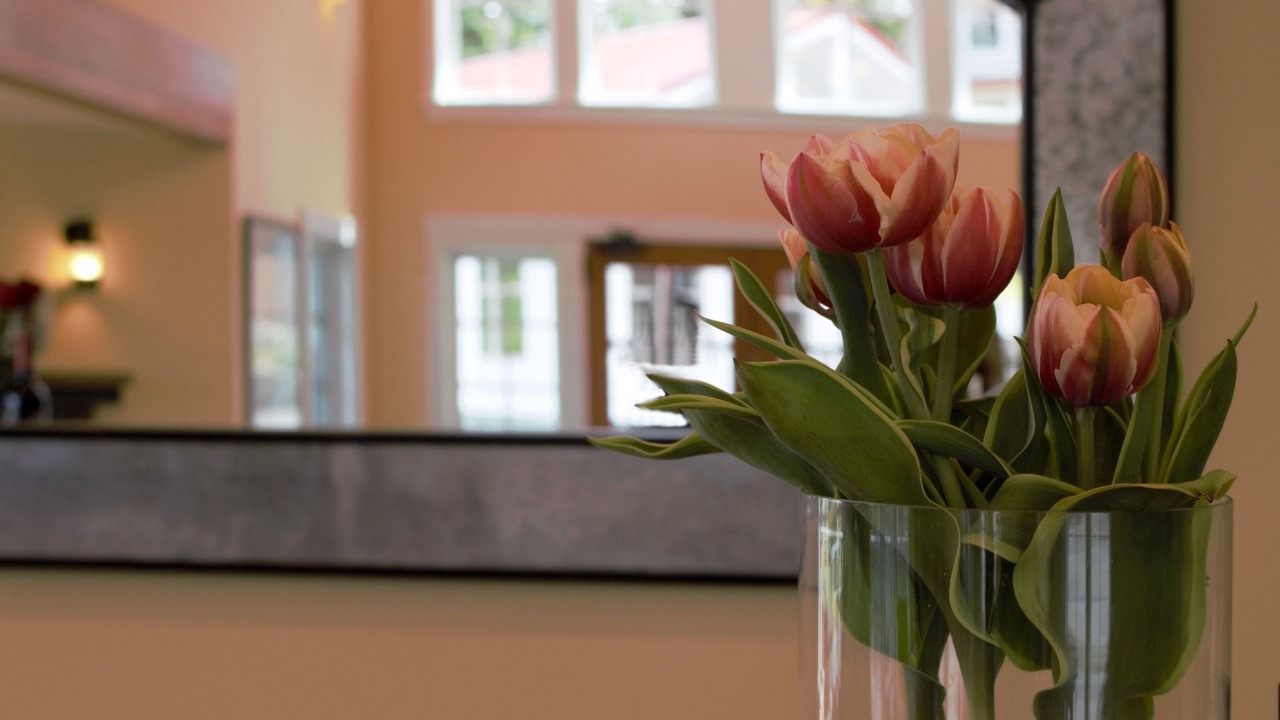 Photo of Others in Anacortes