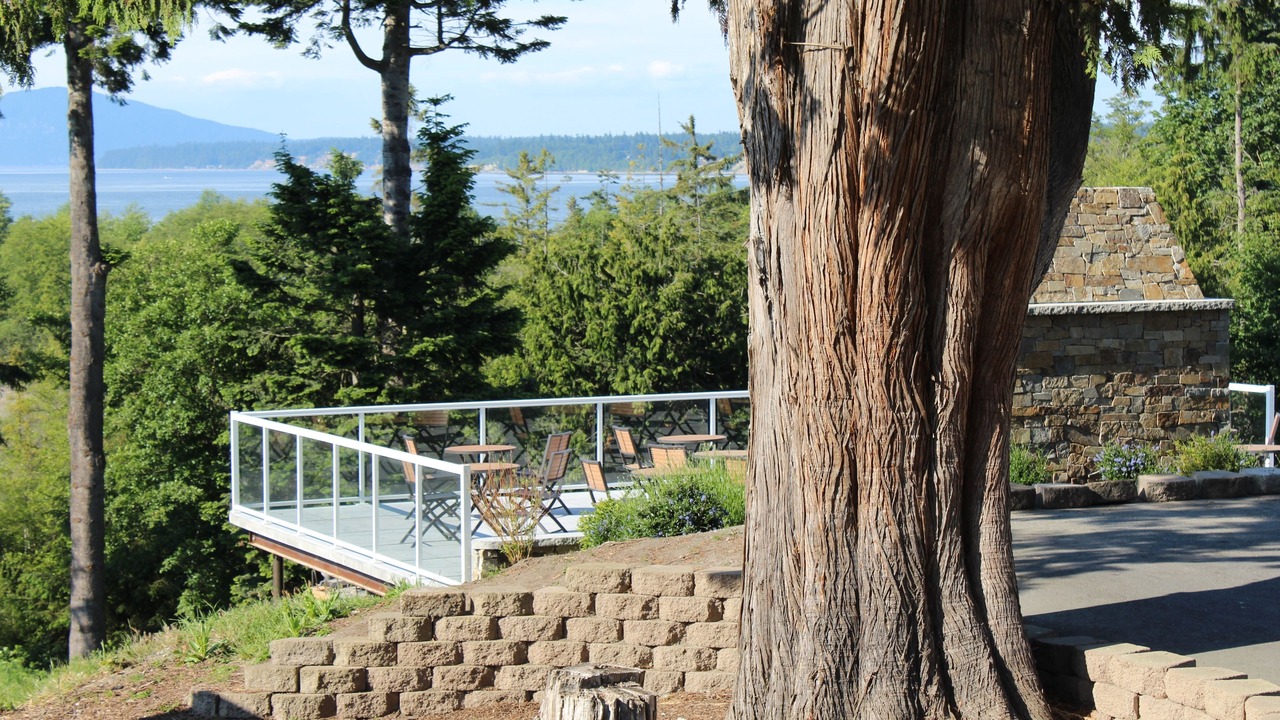 Photo of Outdoor in Anacortes