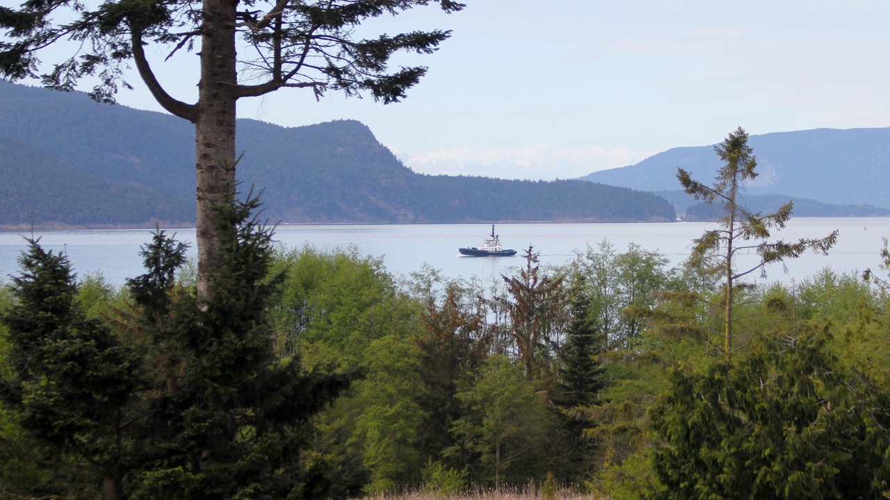 Photo of Others in Anacortes