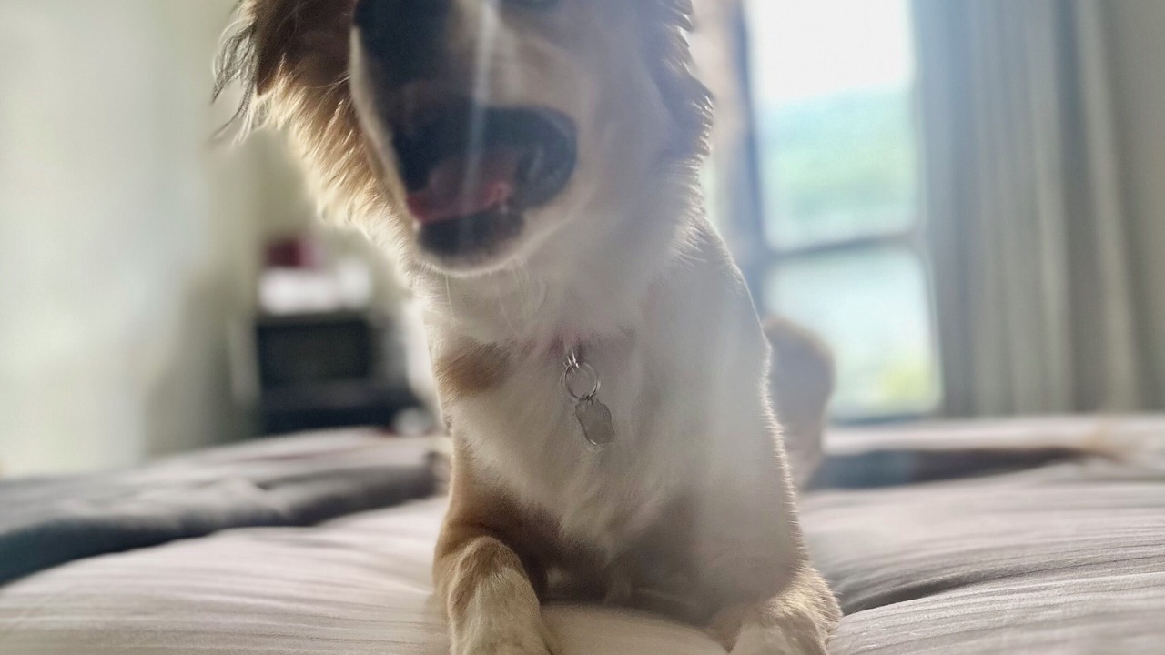 Photo of Bedroom in Brattleboro