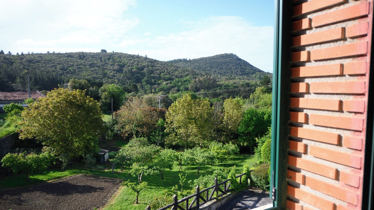 Photo of Others in Ibarranguelua