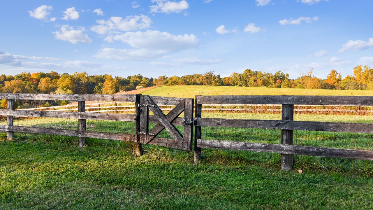 Photo of Outdoor in Middleburg