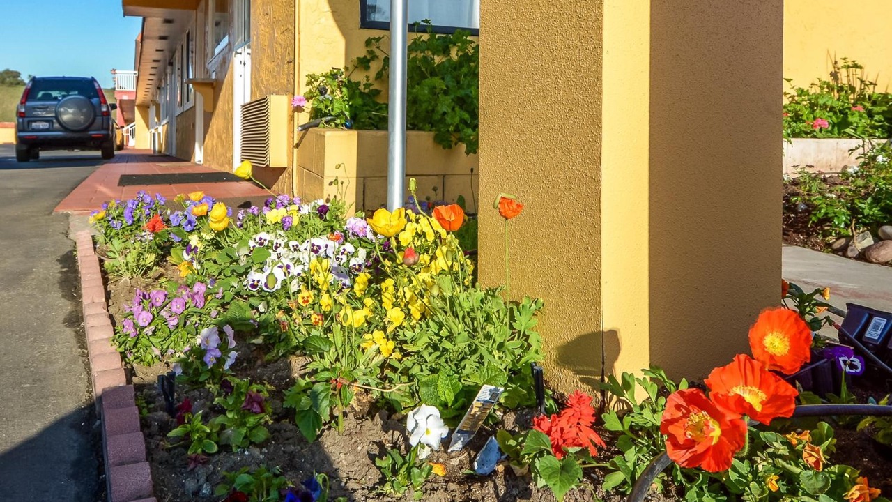 Photo of Outdoor in Hollister