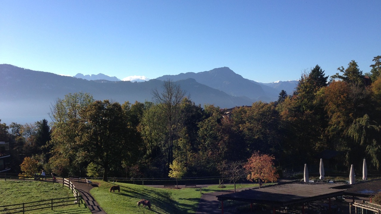 Photo of Outdoor in Meggen