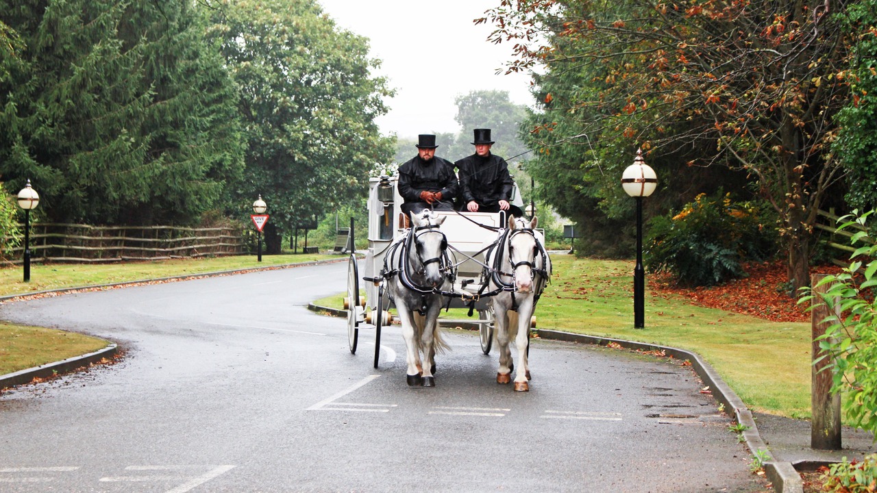 Photo of Outdoor in George Green