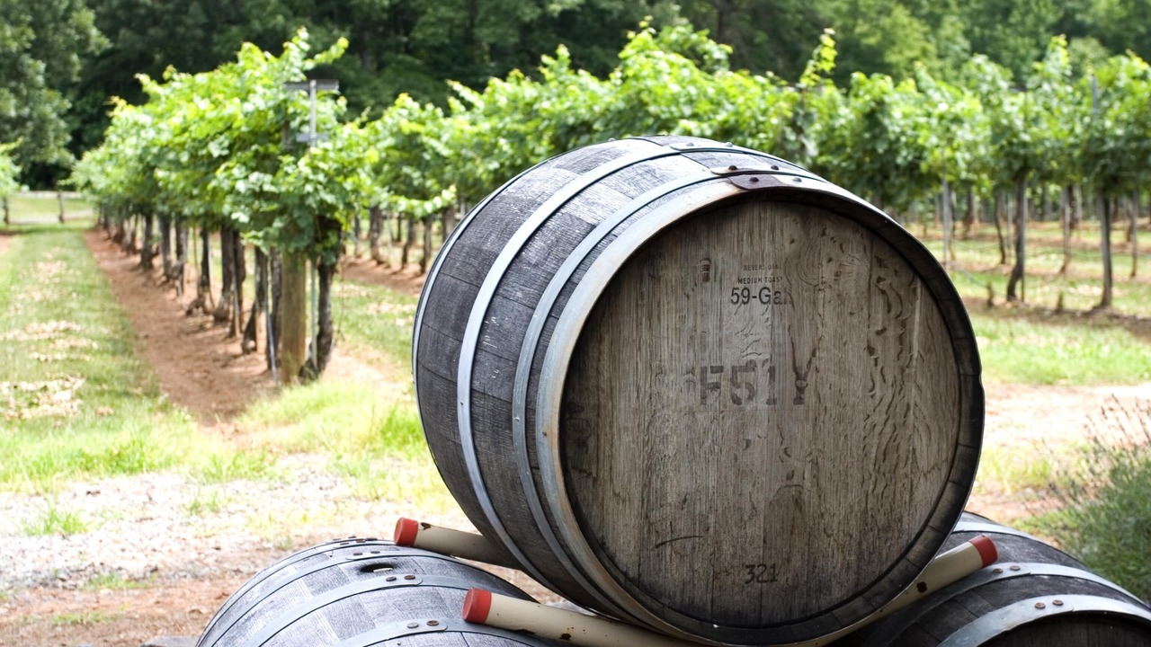 Photo of Others in Fishkill