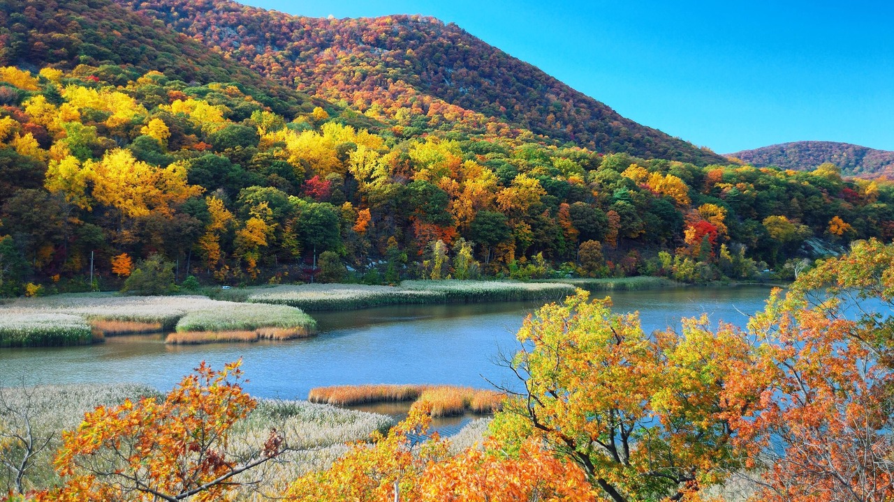 Photo of Others in Fishkill